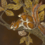 Gaston SUISSE (1896-1988) - Ècureuils roux branchés